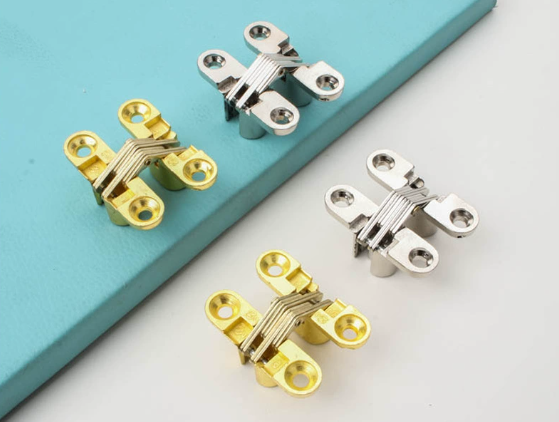Cross invisible hinge